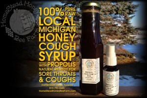 HomeStead Honey Bee Farm digital ad