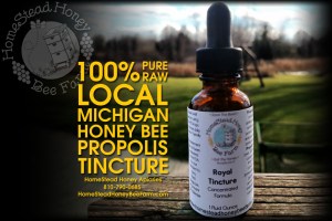 HomeStead Honey digital ad